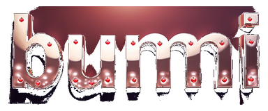 bumi 303 logo